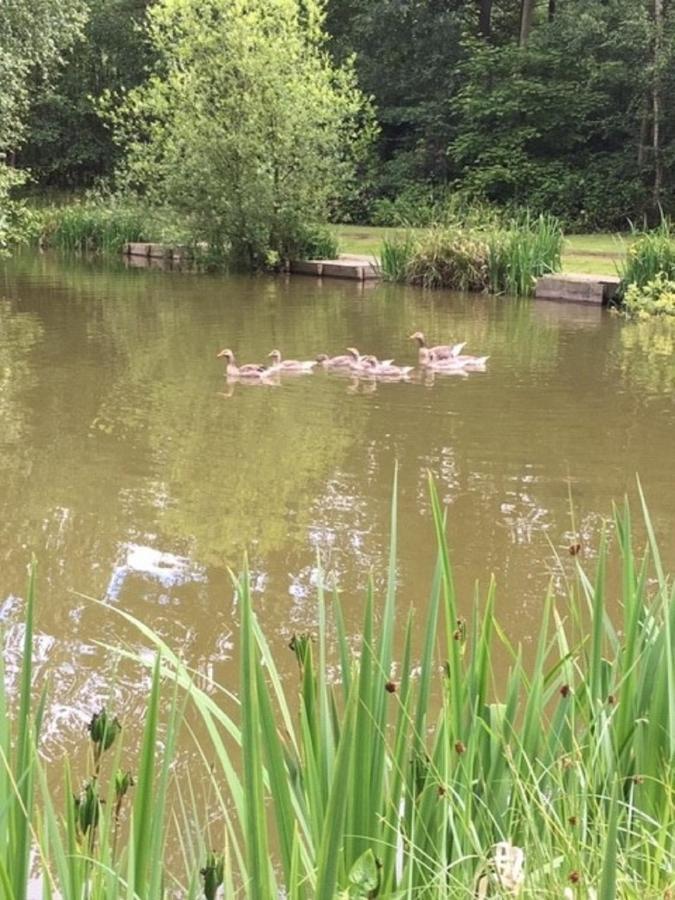 Hollicarrs Holiday Park - Hares Leap Riccall Dış mekan fotoğraf