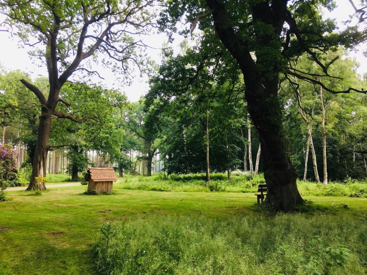 Hollicarrs Holiday Park - Hares Leap Riccall Dış mekan fotoğraf