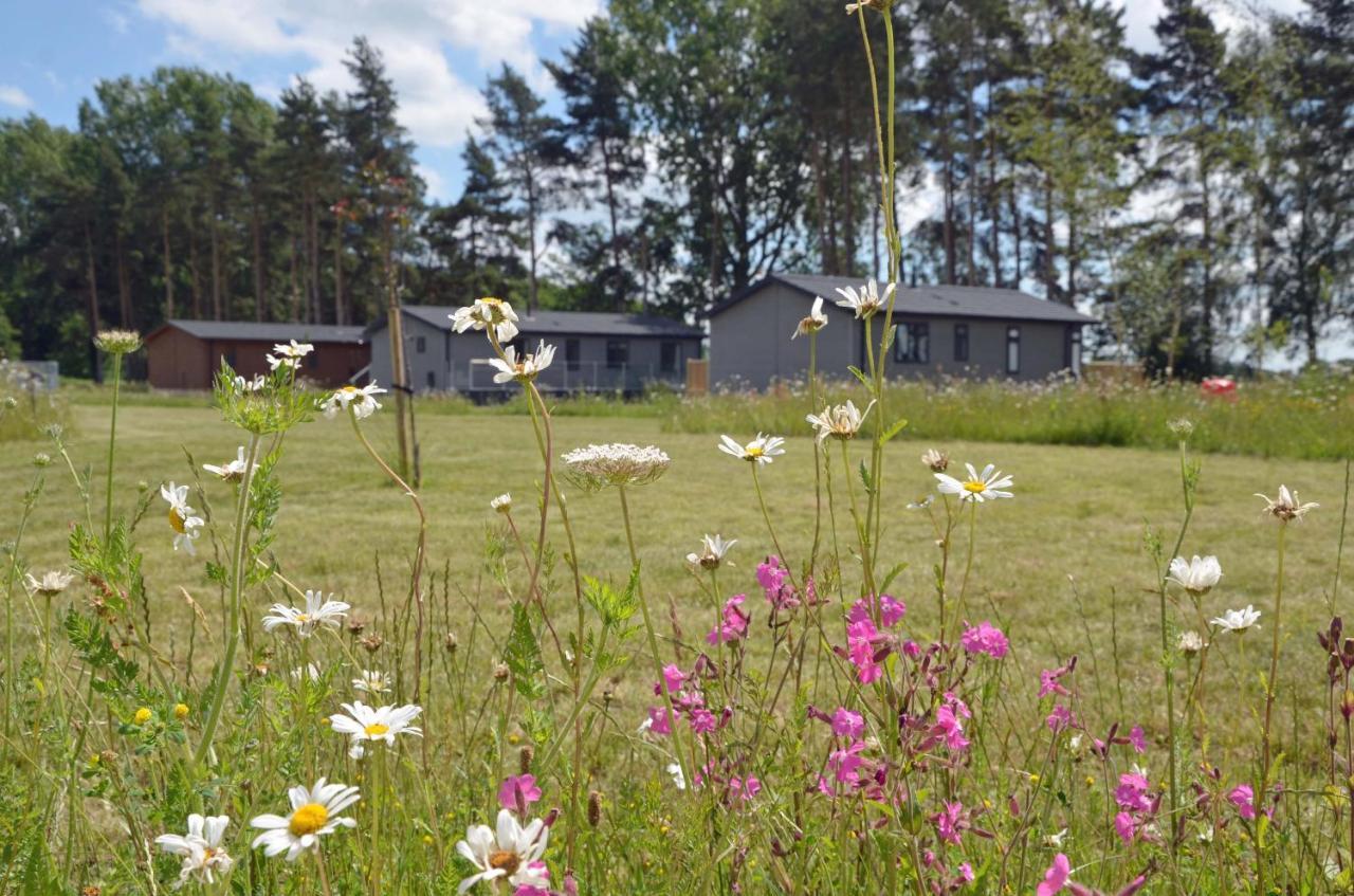 Hollicarrs Holiday Park - Hares Leap Riccall Dış mekan fotoğraf
